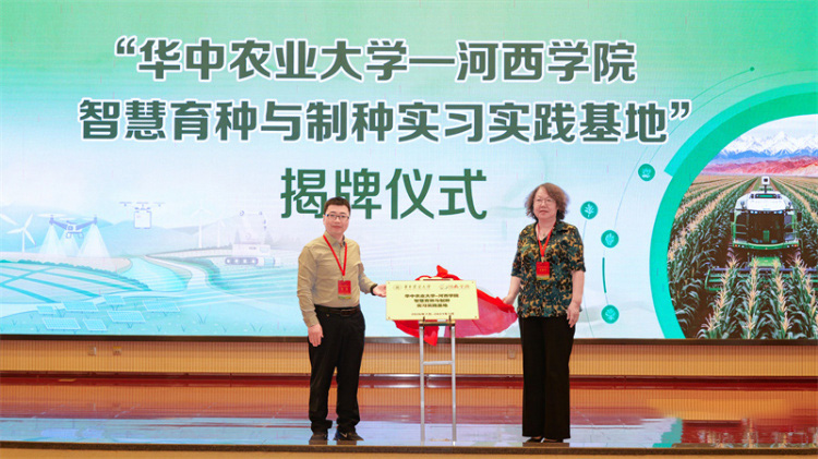200余名专家齐聚张掖 共探种业高质量发展新蓝图