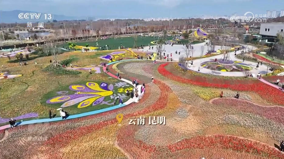 焦点访谈|“幸福产业”书写乡村振兴“花样”答卷