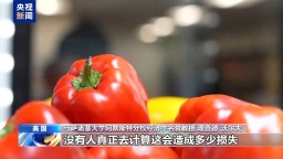 视频丨美专家：美政府“停摆”致民生与经济双重承压