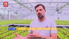 听鉴世界丨柏林打造屋顶农场 为稳定食品供应链提供新思路