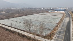 天水市甘谷县六峰镇攻坚整治撂荒地 “闲置地”向“增收田”蝶变