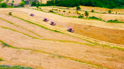 天水市清水县：科技赋能良种 筑牢粮食安全