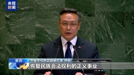 视频丨中方呼吁加快推动巴勒斯坦问题政治解决