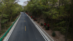 天水市甘谷县谢家湾乡：秋日植绿添新景 干群同心共建和美乡村