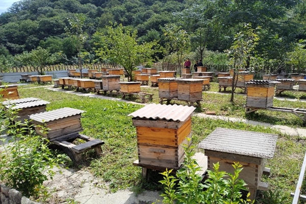 甘肃农业大学:六盘山—秦巴山区特色种养绿色高效关键技术集成与示范项目通过综合绩效评价