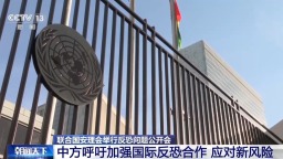 视频丨联合国安理会举行反恐问题公开会 中方呼吁加强国际反恐合作