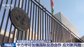 视频丨联合国安理会举行反恐问题公开会 中方呼吁加强国际反恐合作