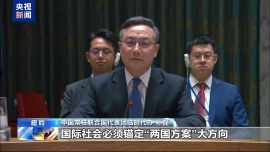 视频丨中方代表：中东地区停火止暴是压倒一切的重要任务