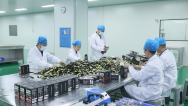 药都廉桥几番新