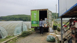 流动供销车进田间 湖南新邵打通蔬菜销售“最后一公里”