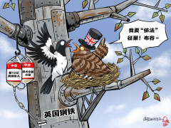 【国际漫评】鸠占鹊巢