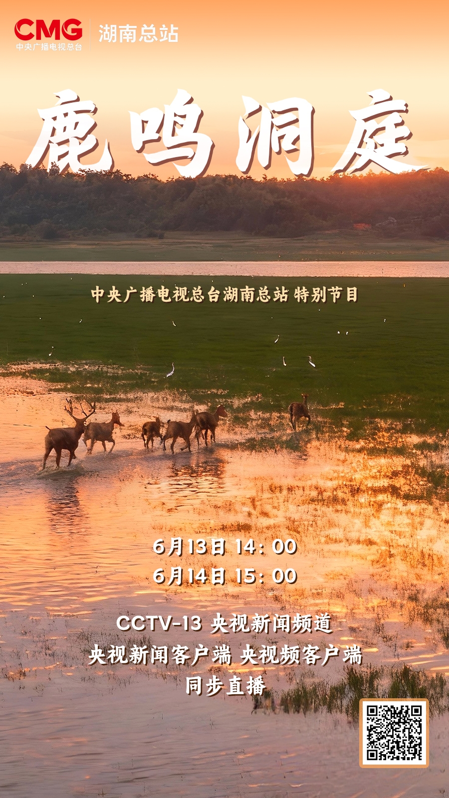 总台记者带机器人“卧底”洞庭湖 围观麋鹿的“恋爱”日常
