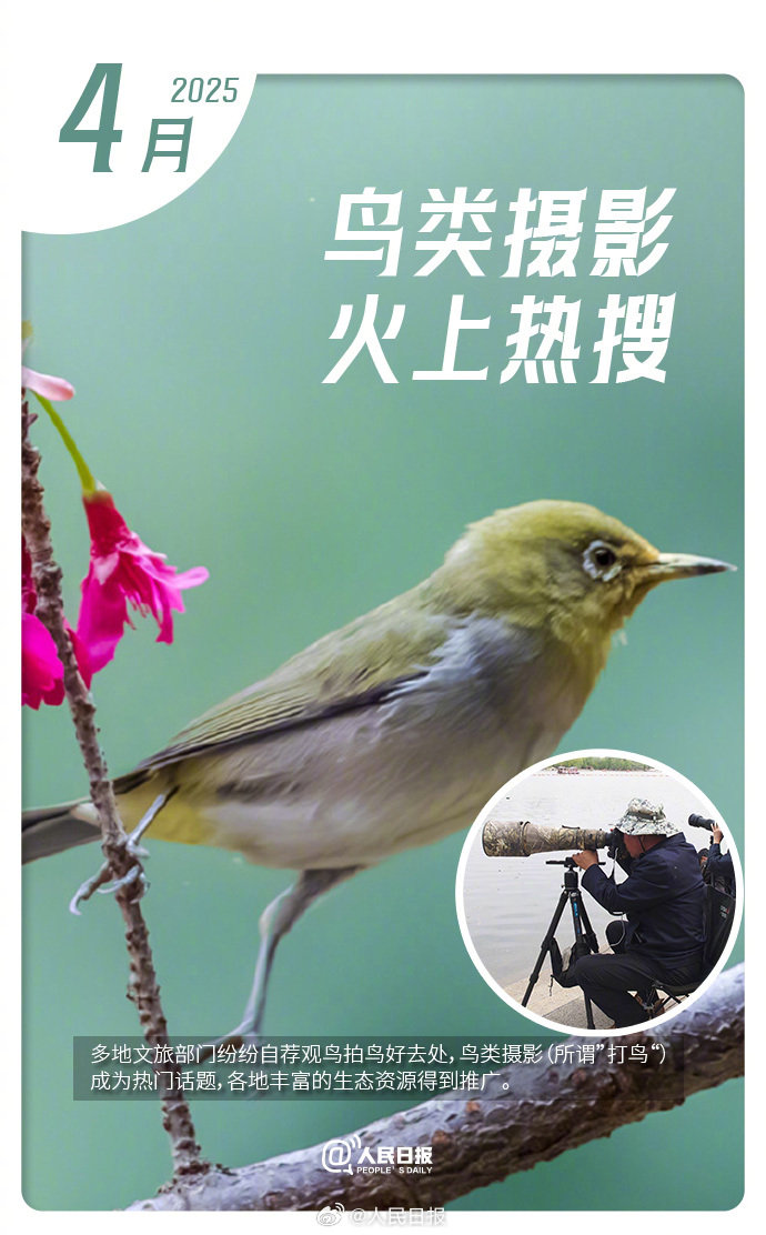 2025最新免费虚拟主机推荐