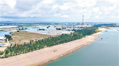 乐东大角湾生态修复(EPC)项目顺利通过交工验收
