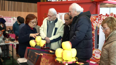 甘肃省天水市甘谷县苹果亮相法国国际农博会