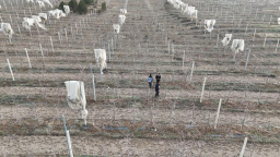 天水甘谷：金融工具为产业发展披上“防护甲”