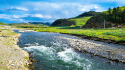 武威天祝县：厚植生态底色  绘就绿色振兴画卷