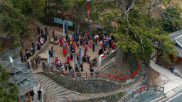 湖南城步守护“绿色乡愁” 奏响古树保护“乐章”