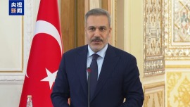 视频丨伊土两国外长：地区国家应共同应对以色列侵略扩张