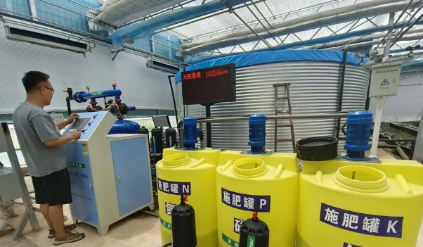 从传统农闲到四季丰收——天水秦州区现代农业激活乡村振兴新动能