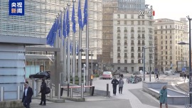 视频丨波兰经济学教授：美国关税政策混乱给全球带来不确定性