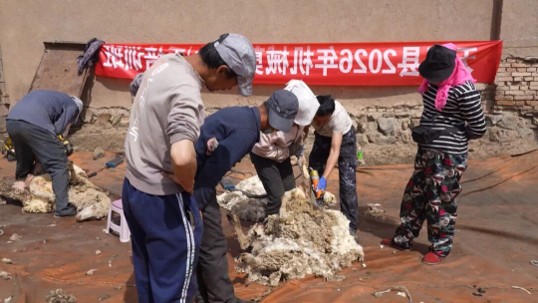 武威天祝:科技服務送到家 農牧産業提質效
