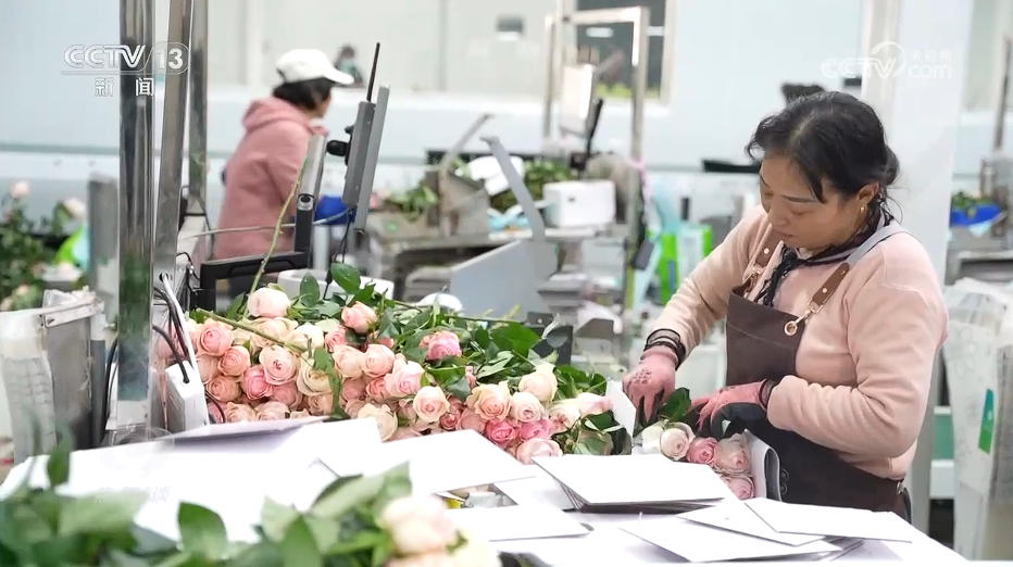 焦点访谈|“幸福产业”书写乡村振兴“花样”答卷