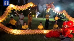 视频丨我驻外使馆举办春节招待会迎新春