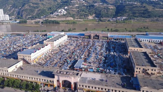 定西岷縣:從田間到市場 道地藥材活力涌動