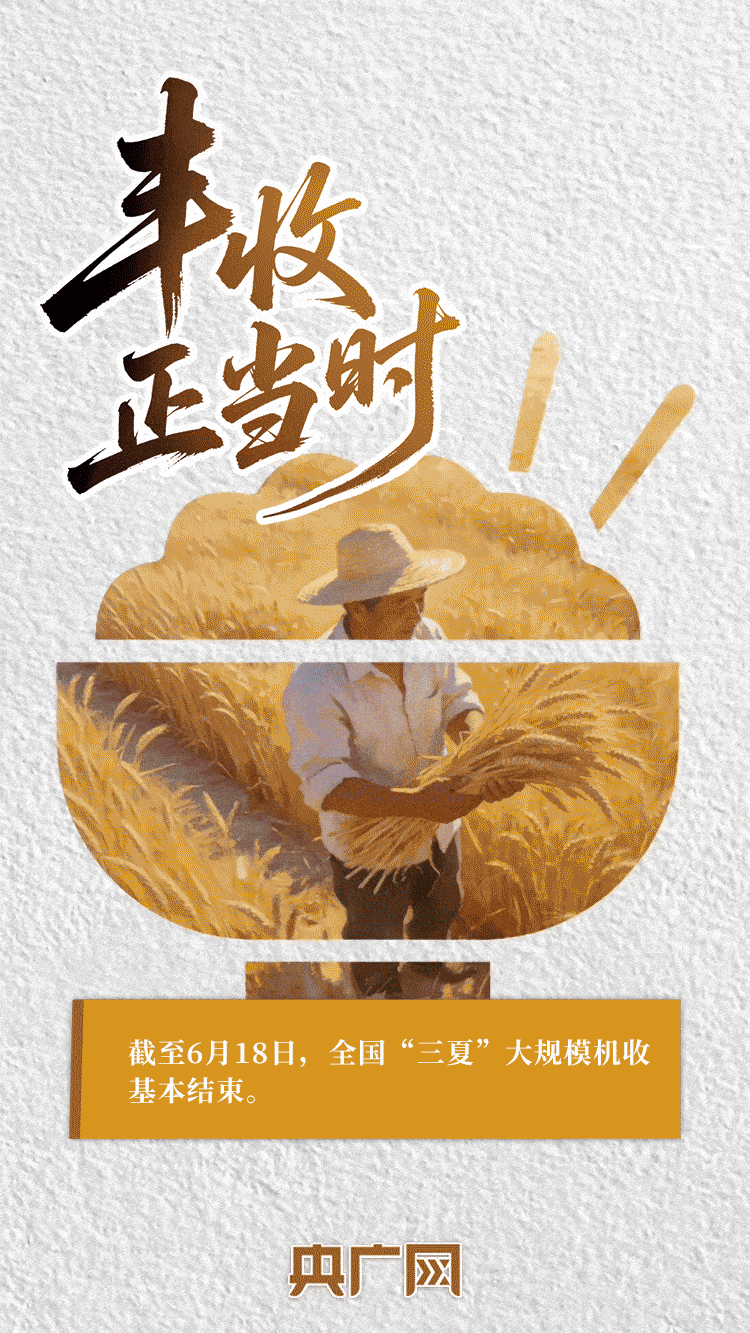 AI中国|一抹金黄,尽绘夏收丰年!