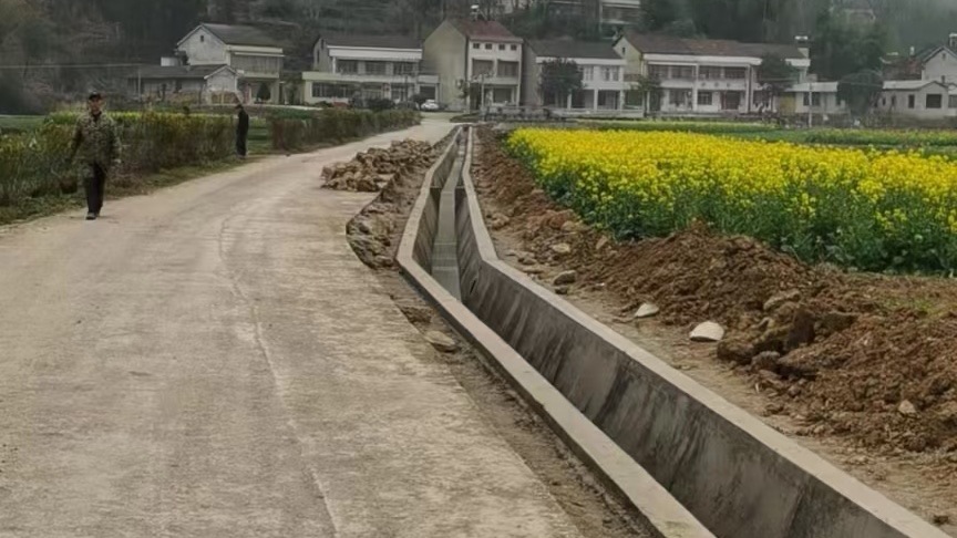 党建红点亮振兴路 产业藤结出致富果
