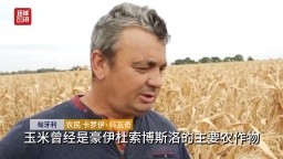 听鉴世界｜极端天气迫使欧洲农户寻求发展转型