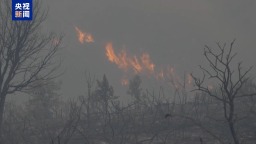 视频丨欧洲高温天气持续 多国山火肆虐