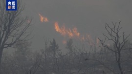 视频丨欧洲高温天气持续 多国山火肆虐
