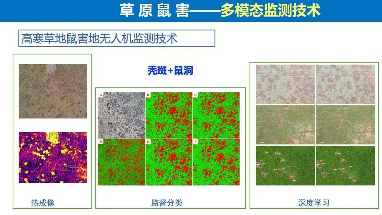 甘肃农业大学草业学院花立民教授团队成果入选“2025中国农业重大新技术”