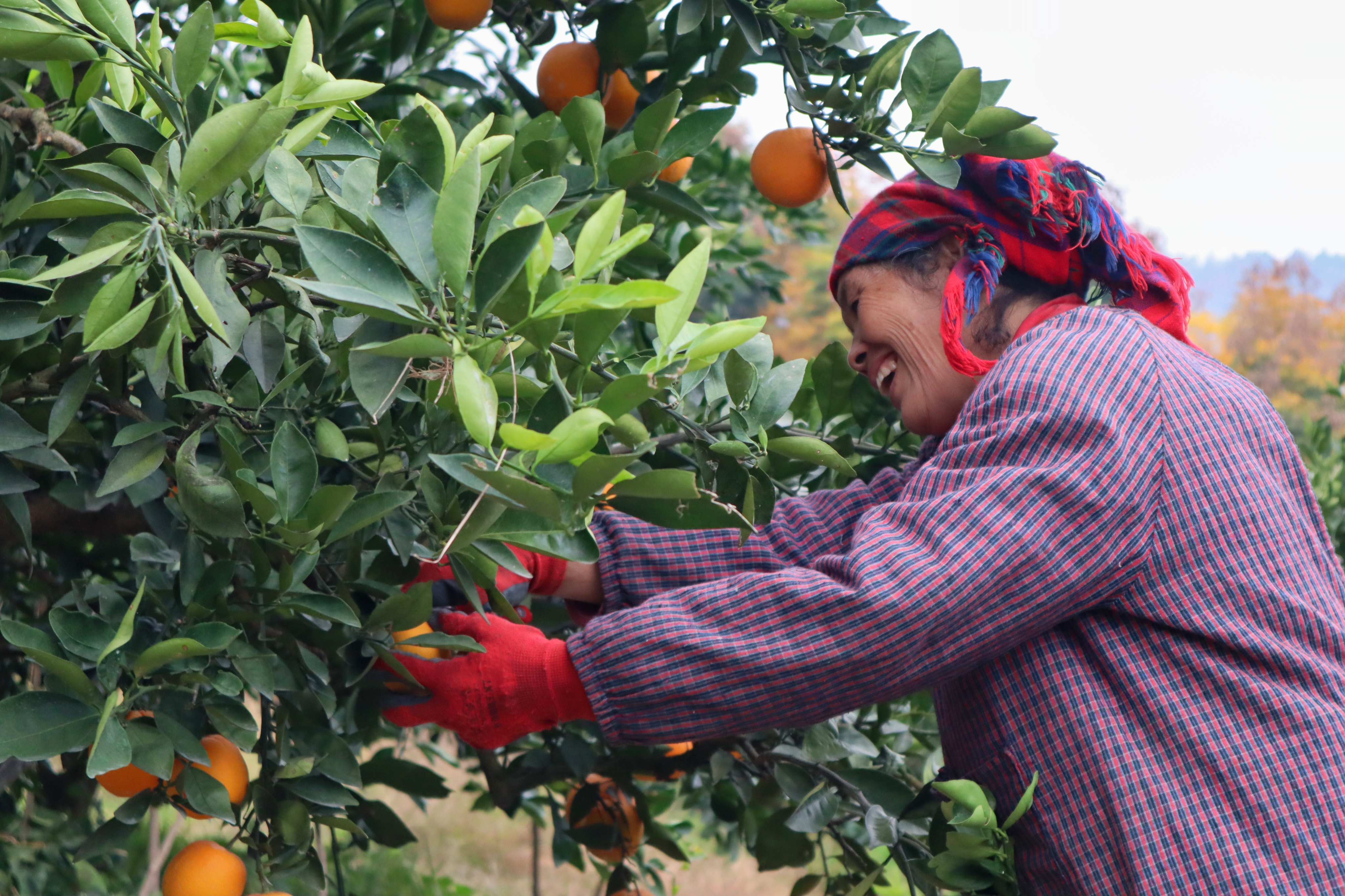湖南邵阳:千年古城“万般变”
