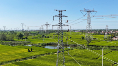 State Grid Huai’an Power Supply Company Removes Power Line Hazards to Strengthen Power Supply Reliability