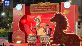 视频丨全球多地举行庆祝活动 共迎新春佳节