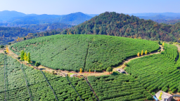 湖南乡村振兴的“活化样本”