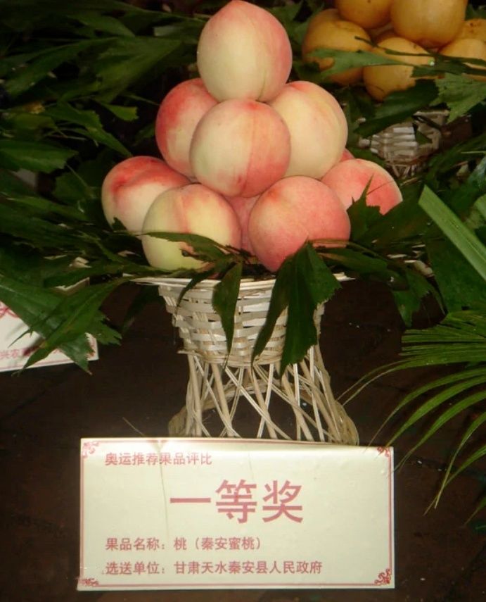 天水秦安“北京七号”蜜桃缘何冠以“北京”之名?