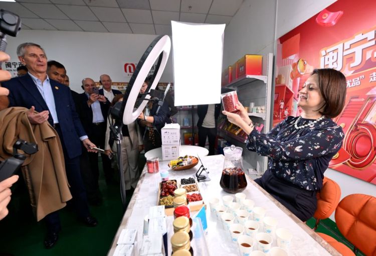 驻华使节宁夏行:读懂中国因地制宜的发展密码