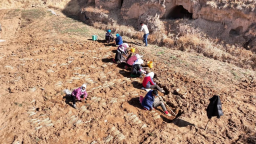 定西市岷县：监督沉在田埂上 护航春耕“暖心田”