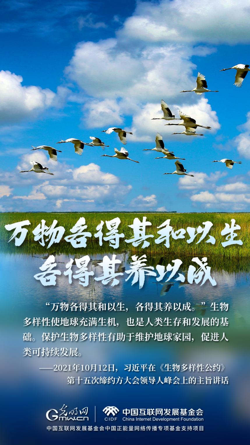 “两山”理念与美丽中国丨湿地与候鸟,一场岁岁年年的相守