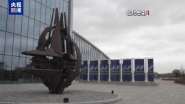 视频丨专家：俄乌“和平计划”应触及冲突发生深层原因