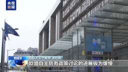 视频丨专家：欧盟内部分歧明显 加强对乌支持难以达成协议