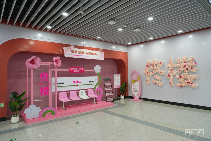 大战略牵引新开局丨正是人间好时节 一城美景半城花