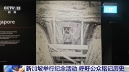 总台记者观察丨新加坡举行纪念活动 呼吁公众铭记历史
