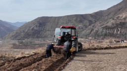 甘肃定西岷县：深耕良种繁育 道地药材产业行稳致远
