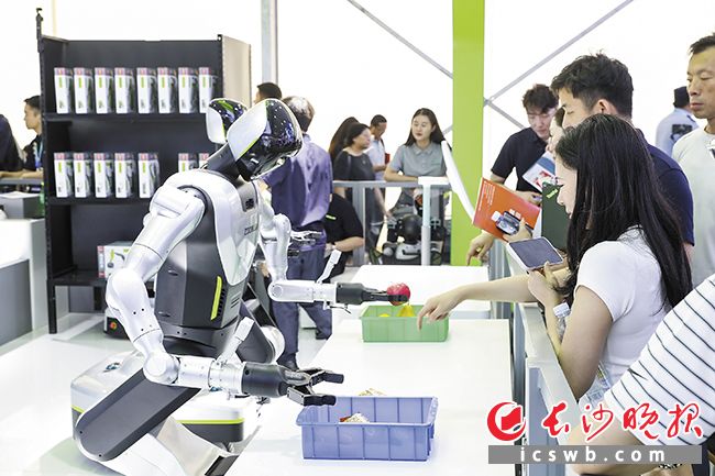 2026世界机器人大会上,湖南长沙军团亮眼抢镜