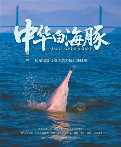 “慢是一种力量,真是一种抵达” ——第四届华语纪录电影大会的见闻与思考 null